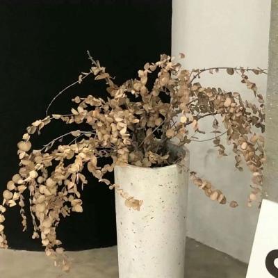 Furry兽圈经典作品解读Furry群